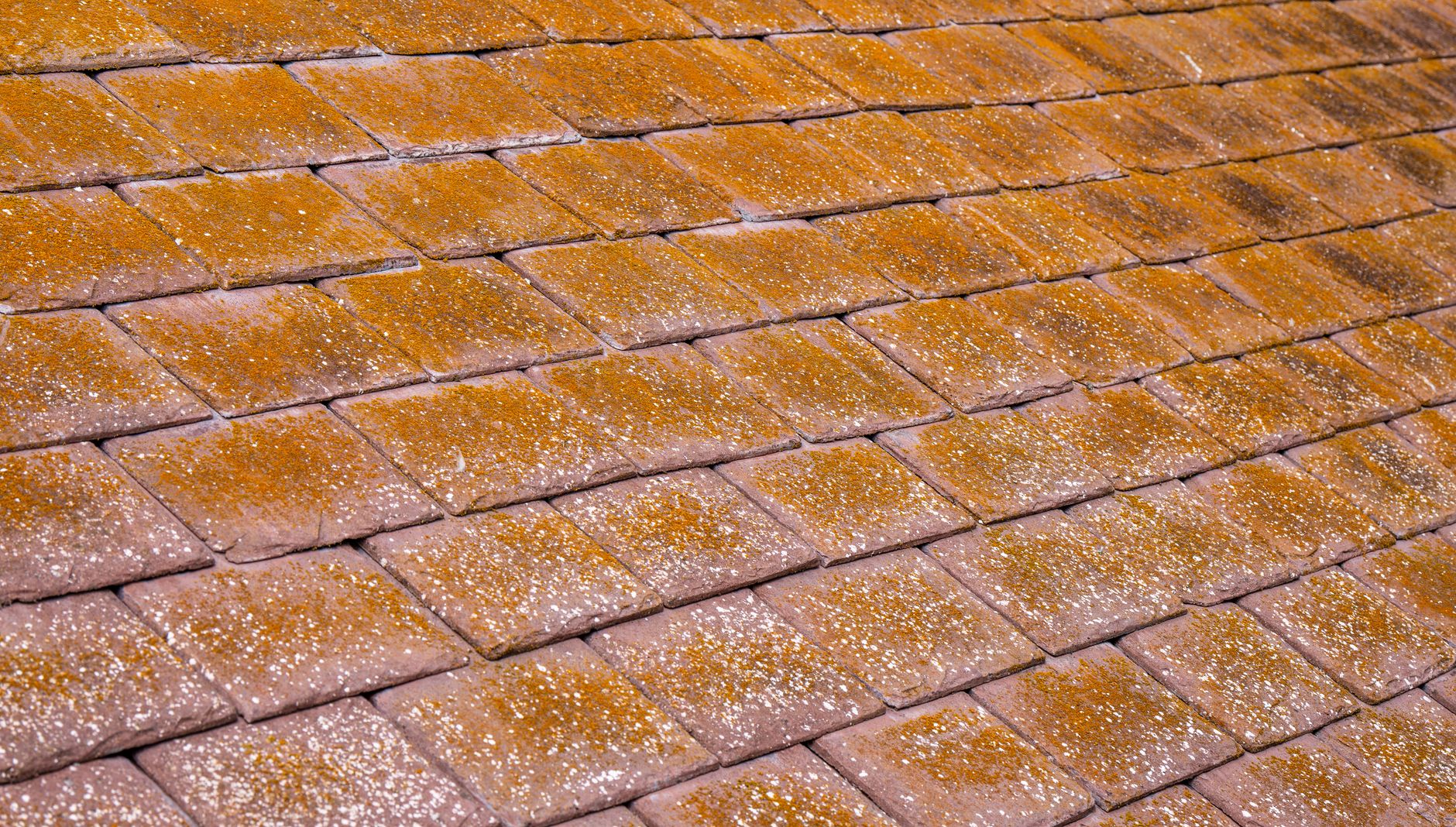 Flashing & Leak Repair – Rogers